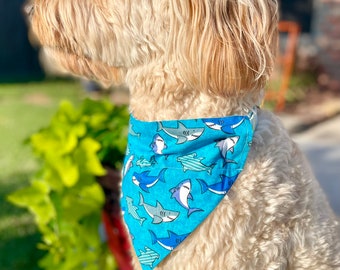 Sharks All Over