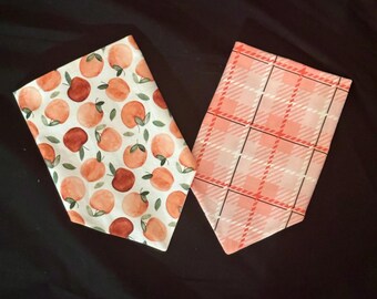 Watercolor Fall Apples/ Fall Blossom Plaid Reversible Dog Bandana.  Autumn Personalized Pet Accessories.