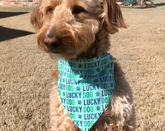 Lucky Dog/Lucky Horseshoes on Navy Reversible St. Patricks Day Dog Bandana, Customizable Pet Accessory,