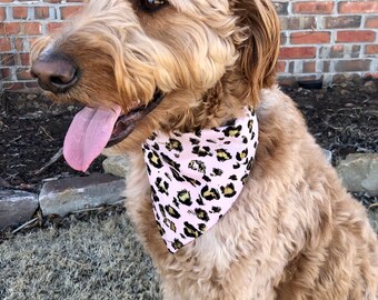 Blush Cheetah/Gold Polka Dots