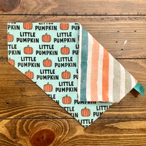 Little Pumpkin Reversible Dog Bandana, Autumn Stripe Personalized Pet Accessories, Halloween Pet Items