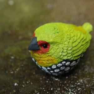 Op de afbeelding: Een klein, groen, geel en wit vogeltje met zwarte ogen en een rode snavel. Het vogeltje zit op een bruin oppervlak.