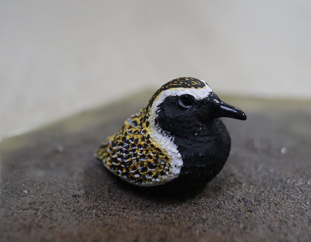 Plover Figure Pacific Golden Plover Figurine Handmade Bird Sculpture - Etsy