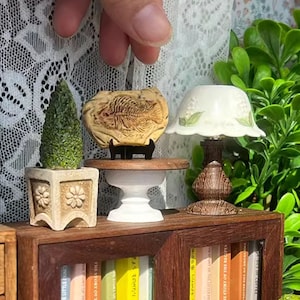 May include: Miniature dollhouse scene featuring a small bookshelf, a potted topiary, and a fossil display. A small lamp with a floral lampshade sits on the shelf. The scene is set against a backdrop of greenery and lace.