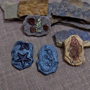 May include: A collection of handmade ceramic fossil replicas, including a bird, starfish, lizard, and fish. The fossils are in shades of gray, brown, and beige, with detailed relief work. The background features rough-hewn stone pieces.