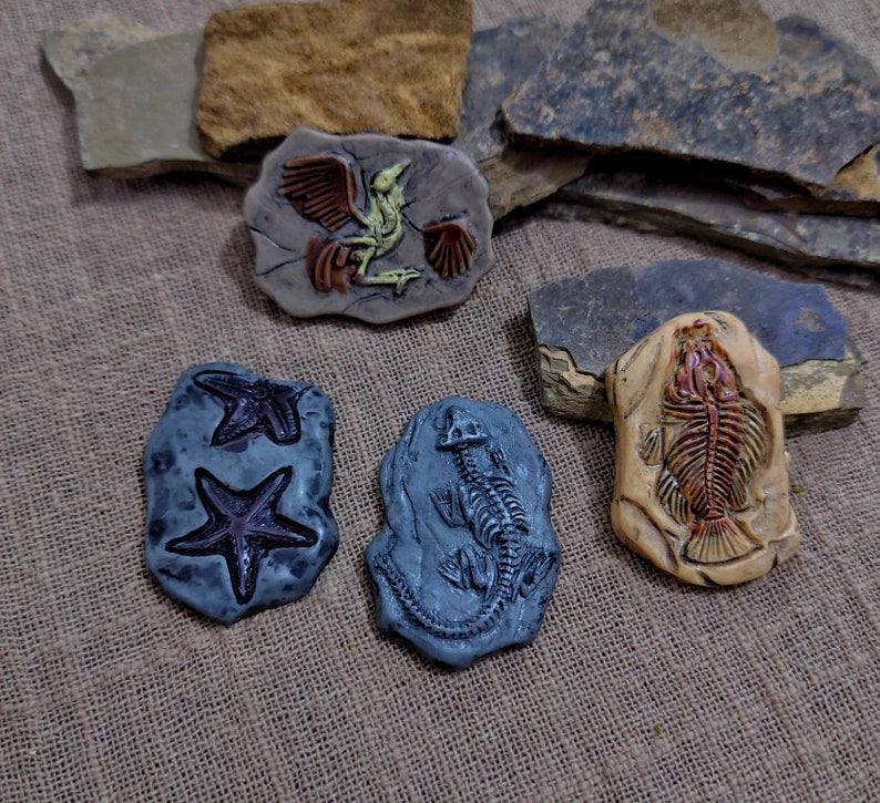 May include: A collection of handmade ceramic fossil replicas, including a bird, starfish, lizard, and fish. The fossils are in shades of gray, brown, and beige, with detailed relief work. The background features rough-hewn stone pieces.