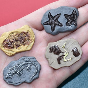 May include: Four miniature fossil replicas: a fish skeleton, two starfish, a reptile skeleton, and a bird with a shell. Each fossil is set on a stone-like base, with colors of tan, gray, and brown.