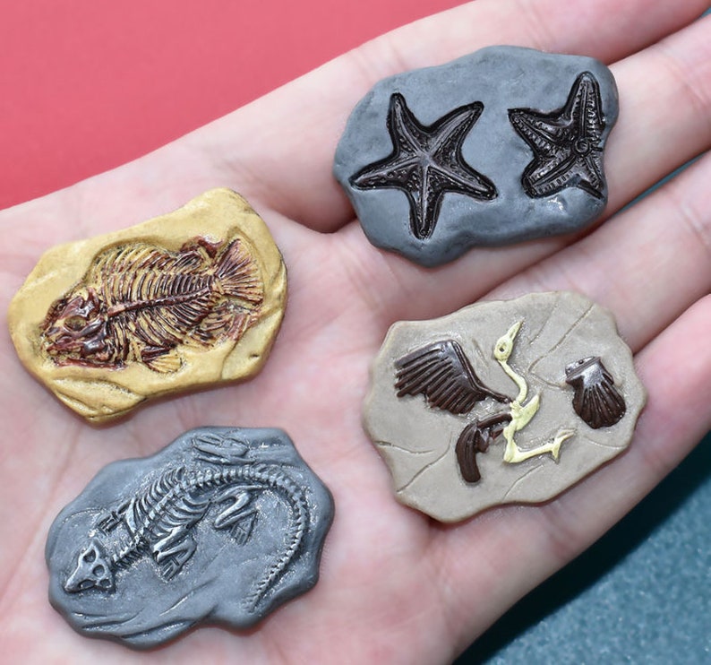 May include: Four miniature fossil replicas: a fish skeleton, two starfish, a reptile skeleton, and a bird with a shell. Each fossil is set on a stone-like base, with colors of tan, gray, and brown.
