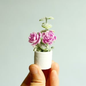 以下が含まれることがあります： ピンクの花と緑の葉がついた小さな白い陶器の鉢