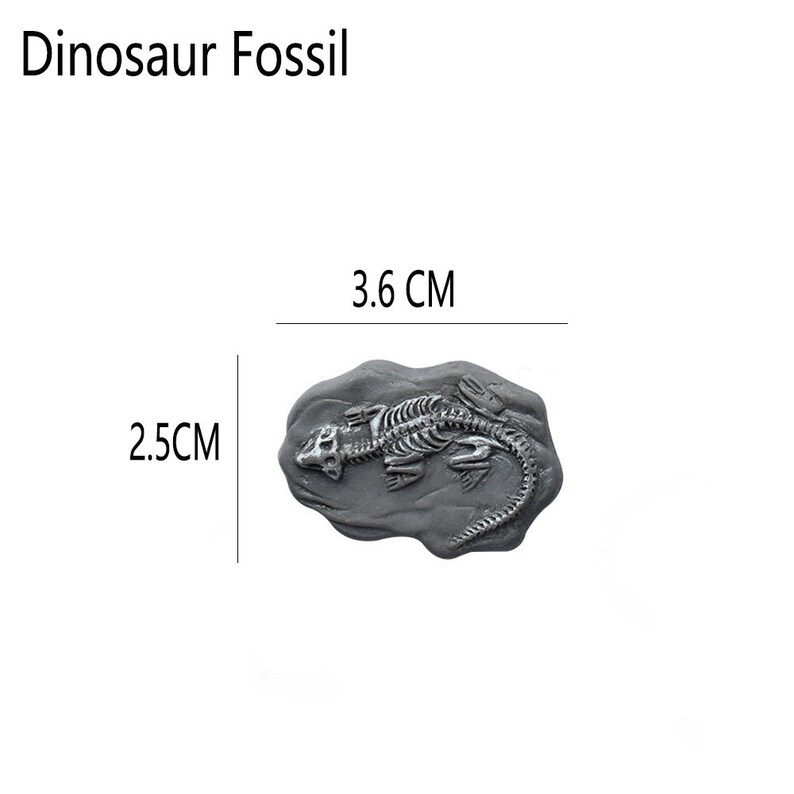 May include: A gray dinosaur fossil replica, 3.6 cm long and 2.5 cm wide, with a detailed skeletal structure. The fossil is set on a gray, rock-like base. The text "Dinosaur Fossil" is at the top.