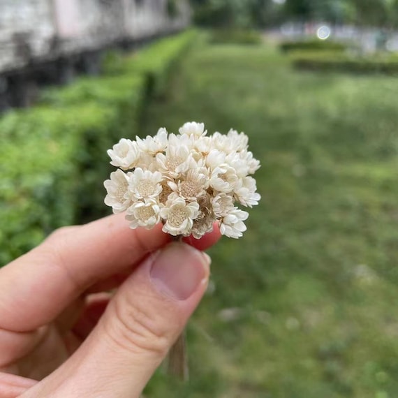 Dollhouse cheap miniature flowers
