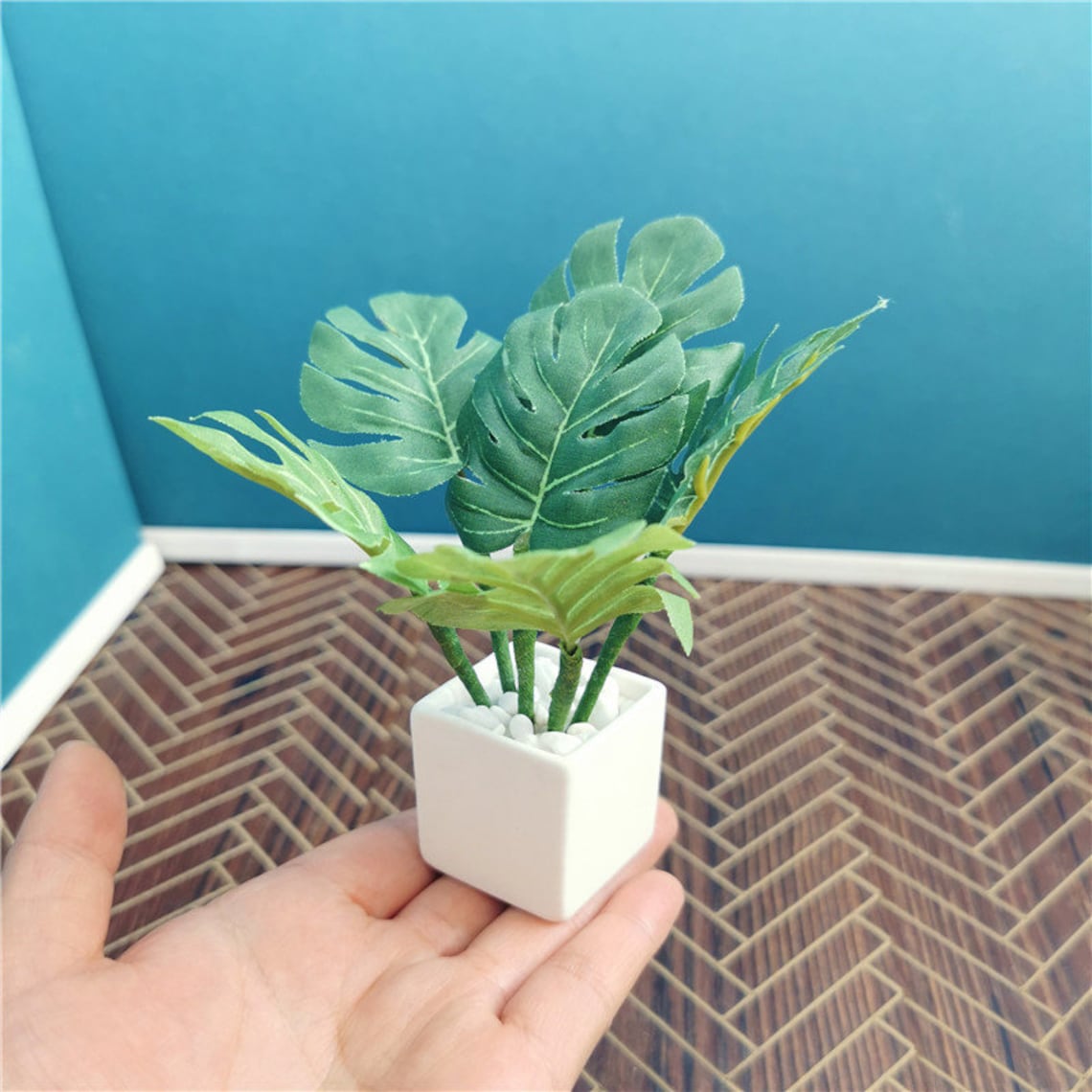 Dollhouse miniature plants miniature Monstera deliciosa mini | Etsy