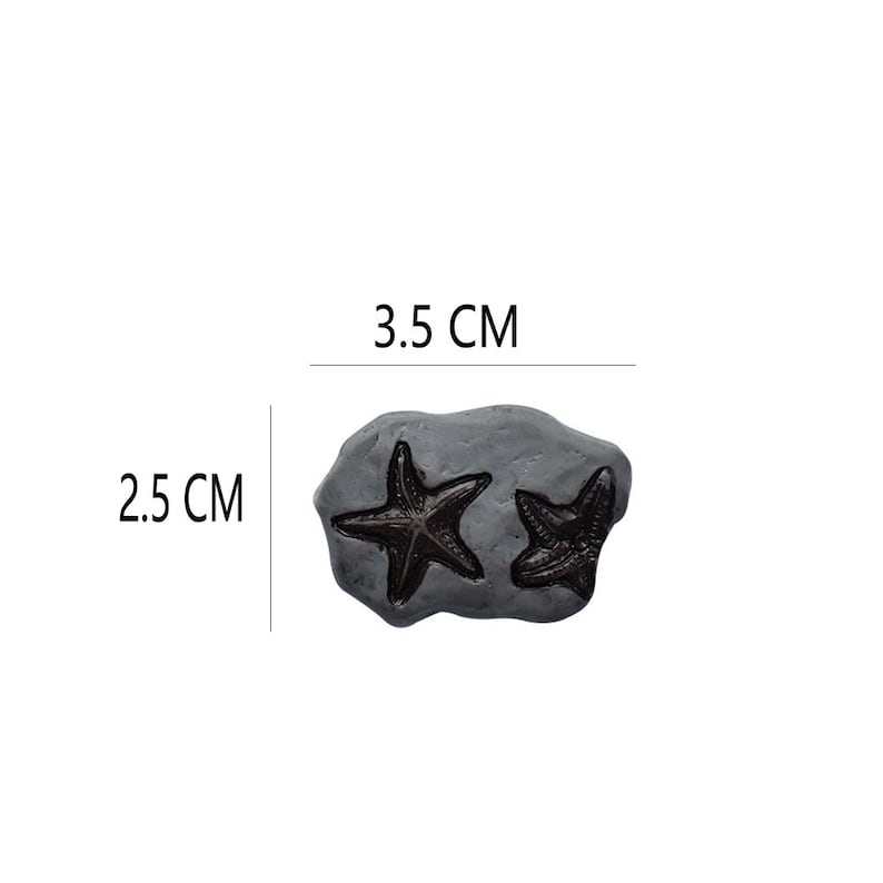 May include: A gray stone with two starfish fossils. The stone measures 3.5 cm wide and 2.5 cm tall. The starfish are dark brown and have five arms. The fossils are embedded in the stone.