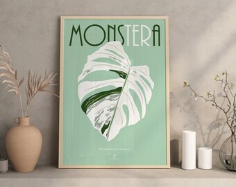 MONSTERA DELICIOSA VARIEGATA - Plant poster A3/A4 - plant illustration, botany, decoration, art, indoor plants, jungle paper