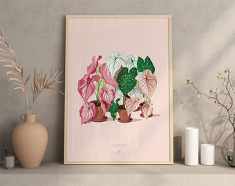 CALADIUM LOVER - A3 plant poster, plant illustration, botany, plants, decoration, art, print, poster, jungle paper, caladium leaf