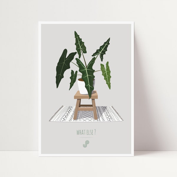 ALOCASIA SARIAN - Plant poster A5 - illustration plant, botany, plants, decoration, art, print, poster, jungle paper