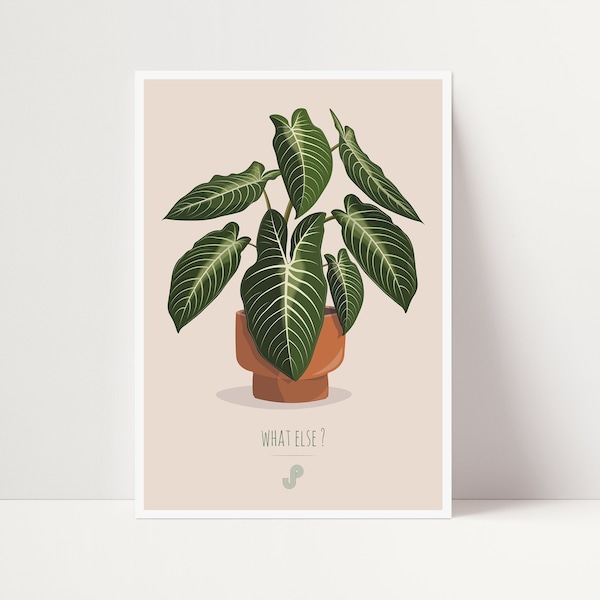 PHYLLOTAENIUM LINDENII - Plant poster A5 - illustration plant, botany, plants, decoration, art, print, poster, jungle paper