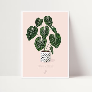 PHILODENDRON GLORIOSUM - Affiche plante A5 - illustration végétale, botanique, plants, décoration, art, print, poster, jungle paper