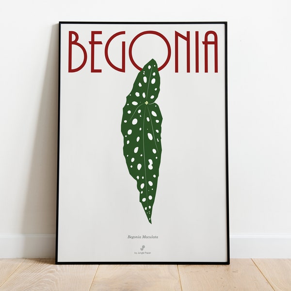 BEGONIA MACULATA - Plant poster A3/A4 - plant illustration, botany, plants, decoration, art, print, poster, plant, jungle paper