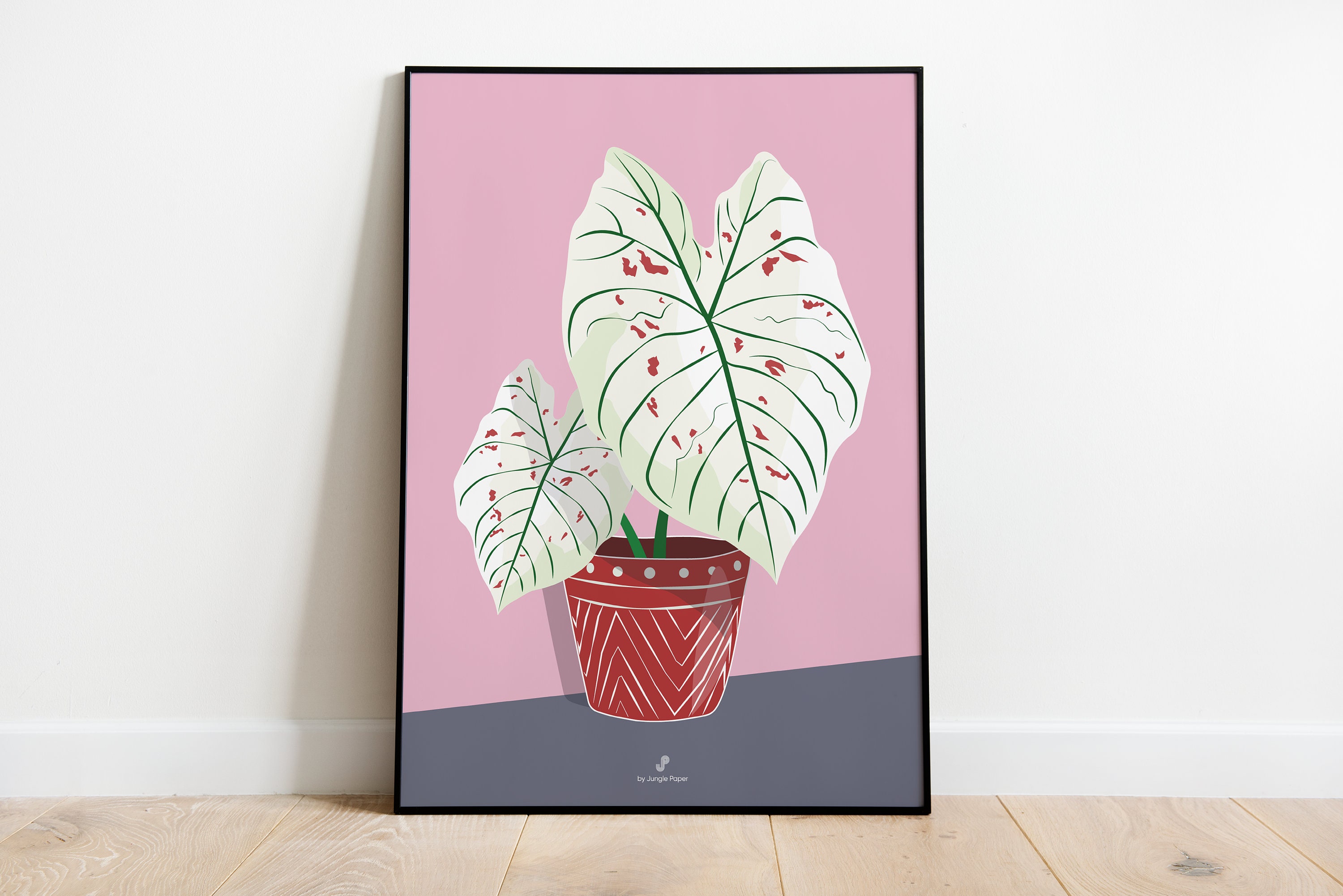 Caladium Strawberry Star - Affiche Plante A3 Illustration Végétale, Botanique, Plants, Décoration, A