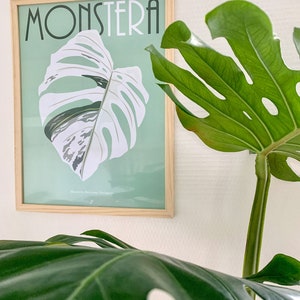 May include: A framed poster with the word "Monstera" in a retro font, featuring a green and white illustration of a Monstera Deliciosa leaf. The poster is hanging on a white wall, with a real Monstera plant in the foreground.