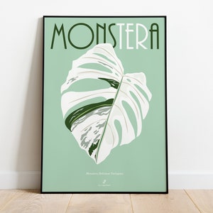 May include: A poster with a green background and a white Monstera Deliciosa variegata leaf. The text "MONSTERA" is in black letters at the top of the poster.