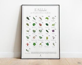 L'ABÉCÉDAIRE DES PLANTES - Affiche plante A3/A4 - illustration végétale, botanique, plants, alphabet, art, print, poster, jungle paper