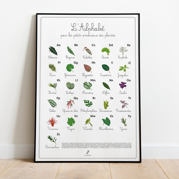 L'ABÉCÉDAIRE DES PLANTES - Affiche plante A3/A4 - illustration végétale, botanique, plants, alphabet, art, print, poster, jungle paper