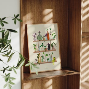 May include: A print of a shelf with various plants and bottles in different colors and shapes. The shelf is made of wood and has two levels. The print is on a white background.