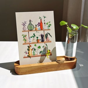 PORTA FOTOS Y RECORTES - Porta tarjetas fotográficas de roble macizo, plantas, esquejes, soporte de madera, objeto decorativo de diseño, decoración de paredes interiores