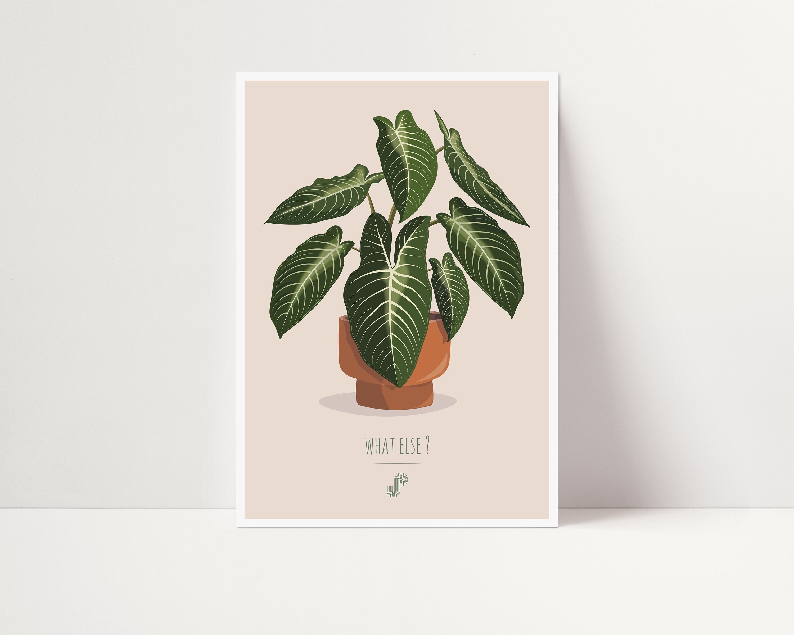 Phyllotaenium Lindenii - Affiche Plante A5 Illustration Végétale, Botanique, Plants, Décoration, Art