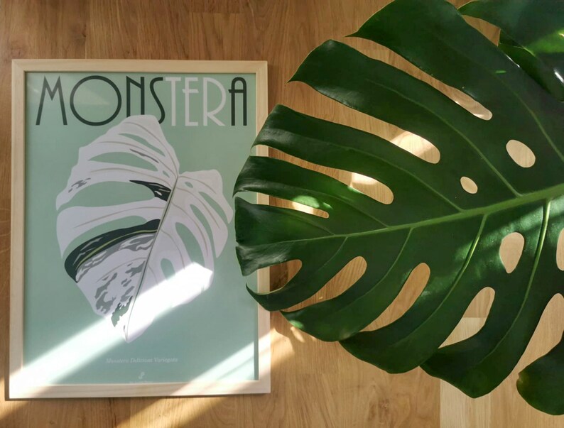 May include: A framed print of a Monstera Deliciosa leaf with a light green background and the word "Monstera" in a stylized font.