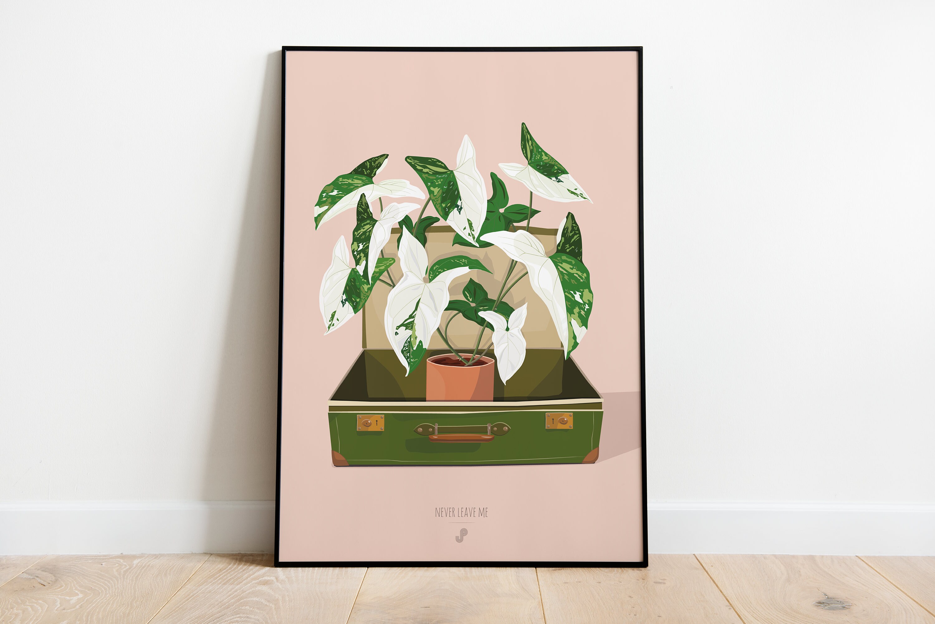 Syngonium Albo Variegata - Affiche Plante A3 Illustration Végétale, Botanique, Plants, Décoration, A