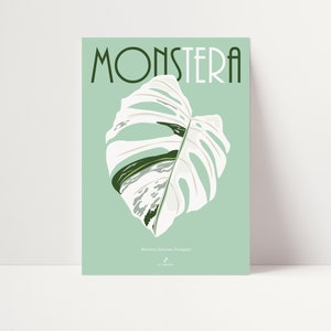 May include: A poster with a green background featuring a white Monstera Deliciosa Variegata leaf with green veins. The text "Monstera" is in a bold, black font at the top of the poster.