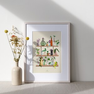 May include: A framed print of a shelf with various plants and glass bottles in different shapes and sizes. The shelf is made of wood and has a light brown finish. The plants are green and have leaves of various shapes and sizes. The bottles are clear and some have a green tint. The print is on a cream background.