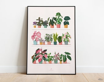 PLANT SHELF - A3/A4 Plant Poster - Plant illustration, botany, plants, decoration, art, print, jungle paper, boho, vintage, shelf