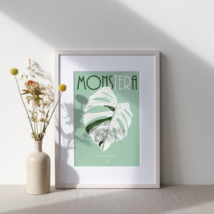 May include: A framed print with a white background and a green border. The print features a white Monstera leaf with green veins against a light green background. The word "Monstera" is written in green letters at the top of the print.