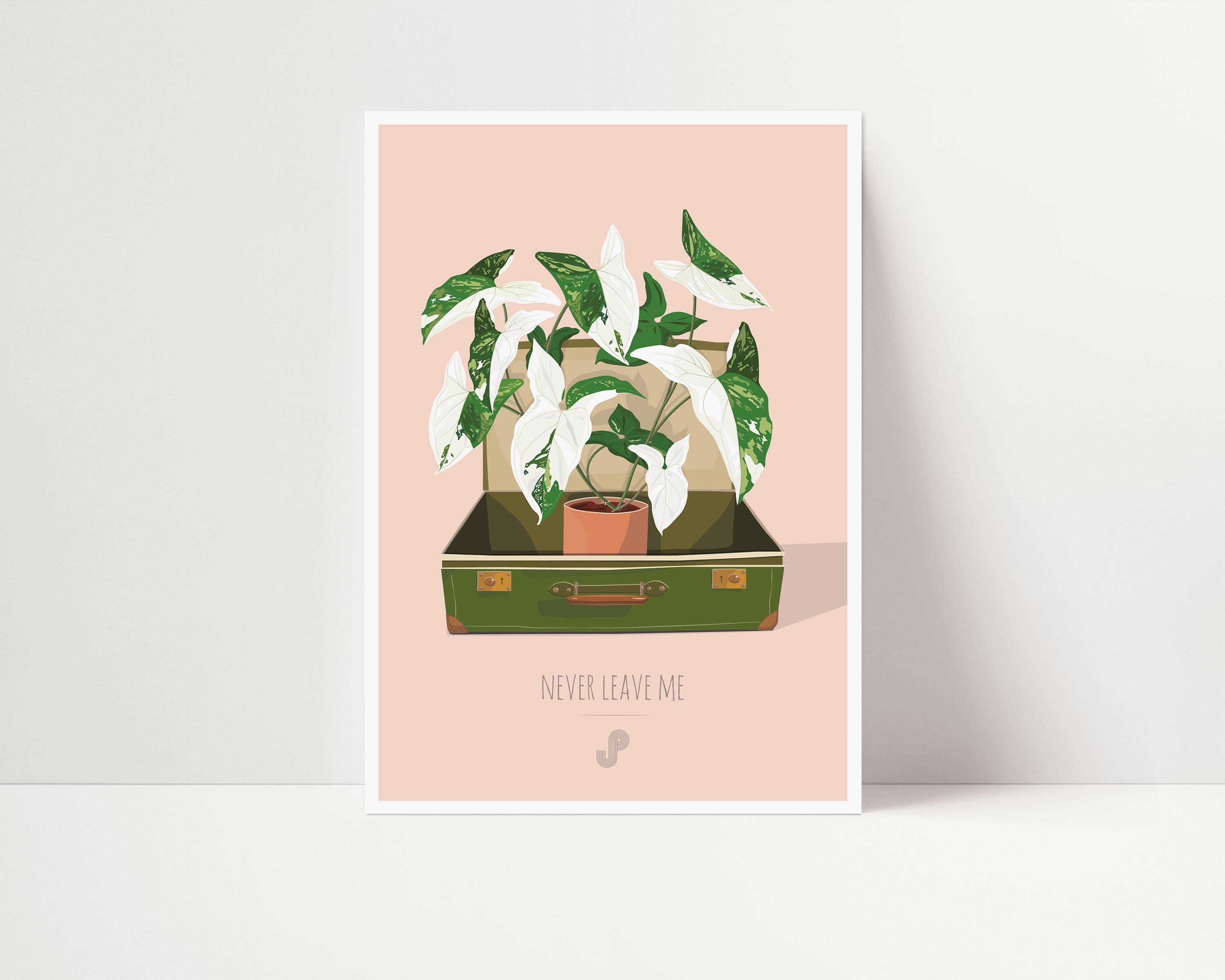Syngonium Albo Variegata - Affiche Plante A5 Illustration Végétale, Botanique, Plants, Décoration, A