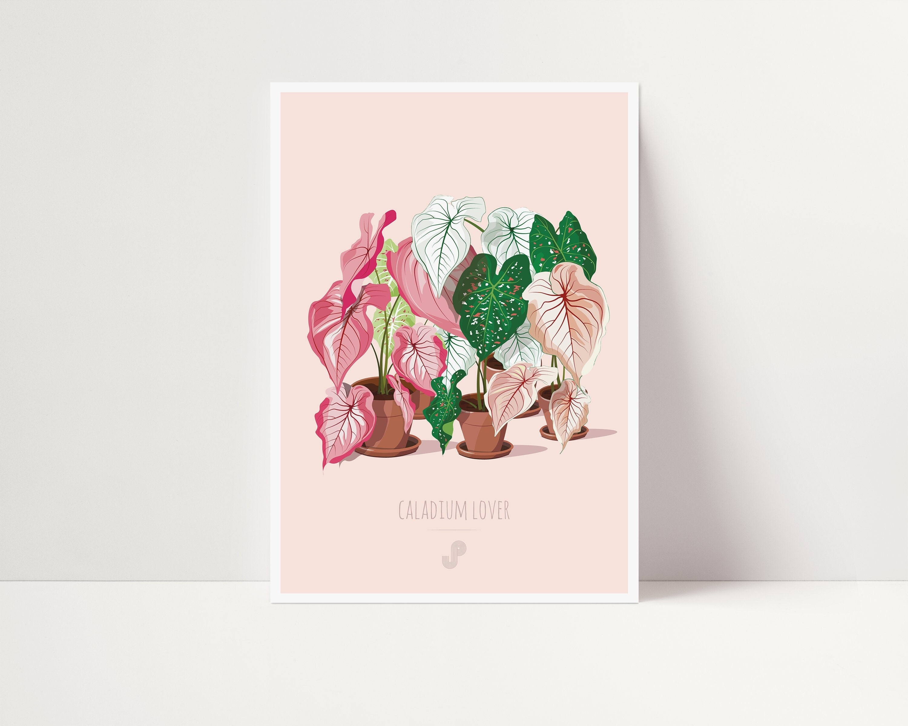 Caladium Lover - Affiche Plante A5 Illustration Végétale, Botanique, Plants, Décoration, Art, Print,
