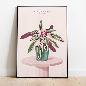 CALATHEA TRIOSTAR - Affiche plante A3/A4 - illustration botanique, boho, vintage, print, plants, décoration végétale, jungle paper