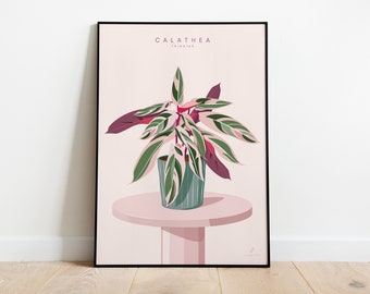 CALATHEA TRIOSTAR - Affiche plante A3/A4 - illustration botanique, boho, vintage, print, plants, décoration végétale, jungle paper