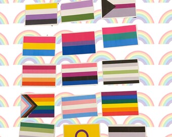 Pride Flag Sticker || Many different genders and sexualities