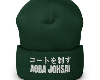 コートを制す Aoba Rule The Court High Volleyball Club Anime Etsy