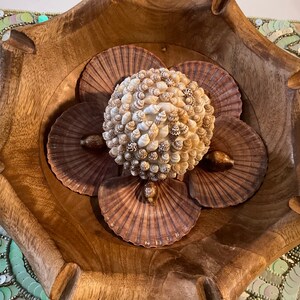 May include: A wooden bowl with a decorative arrangement of seashells. The bowl is brown and has a natural wood grain. The seashells are arranged in a circular pattern, with a cluster of small shells in the center. The seashells are a variety of colors, including white, brown, and beige.