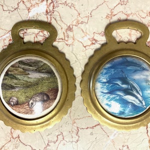 Brass Bottle Opener. Vintage.  Sold Separately. Dolphin and Opossum Pictures on. Brass frame.