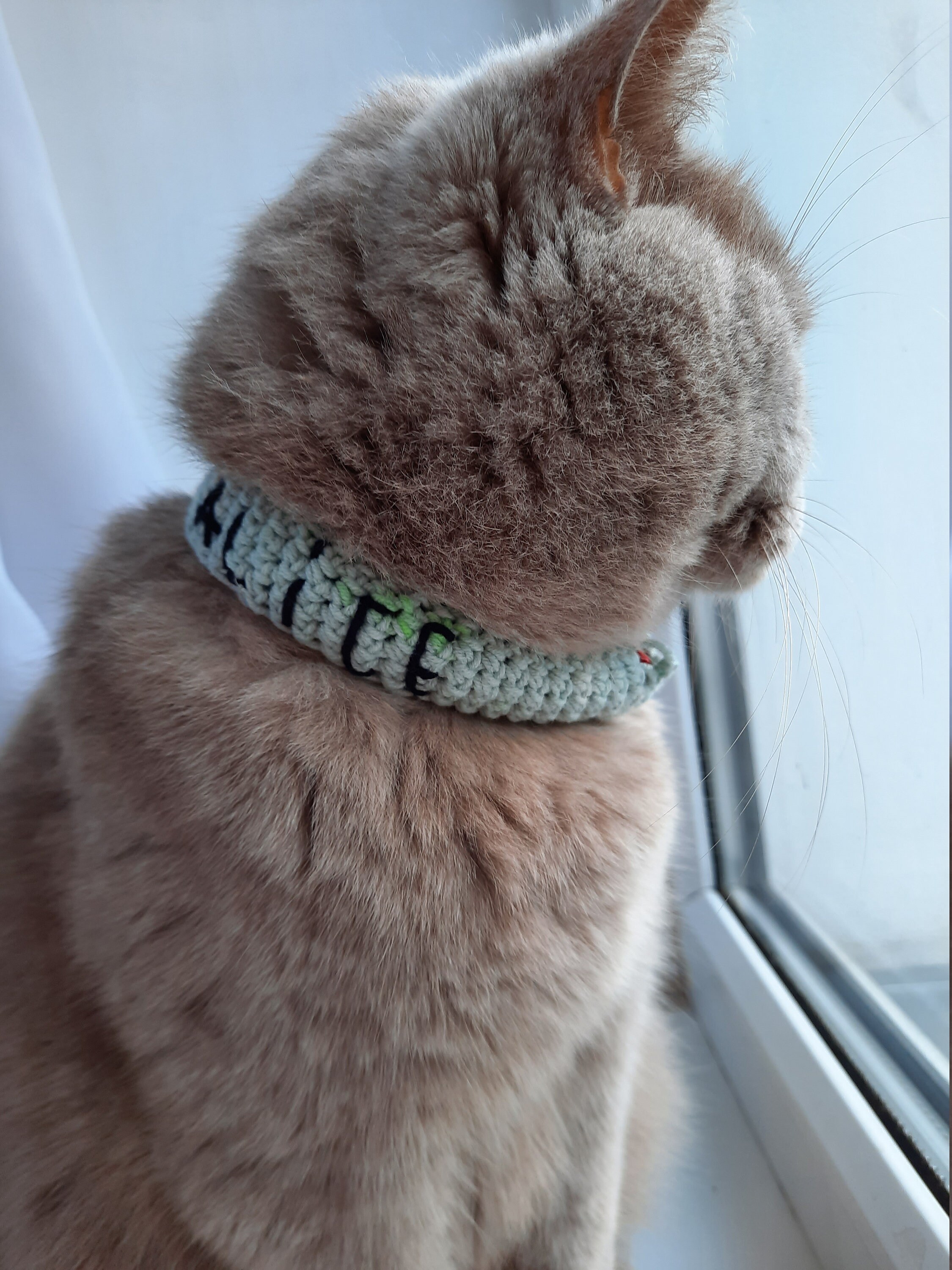 Knitted collar for cats Personalized handmade Cat collar as Etsy