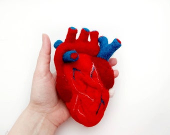 Valentines day gift Offbeat Anatomical Heart, Offbeat Valentine for med student & for cardiac doctor, Human Heart Sculpture Needle Felted