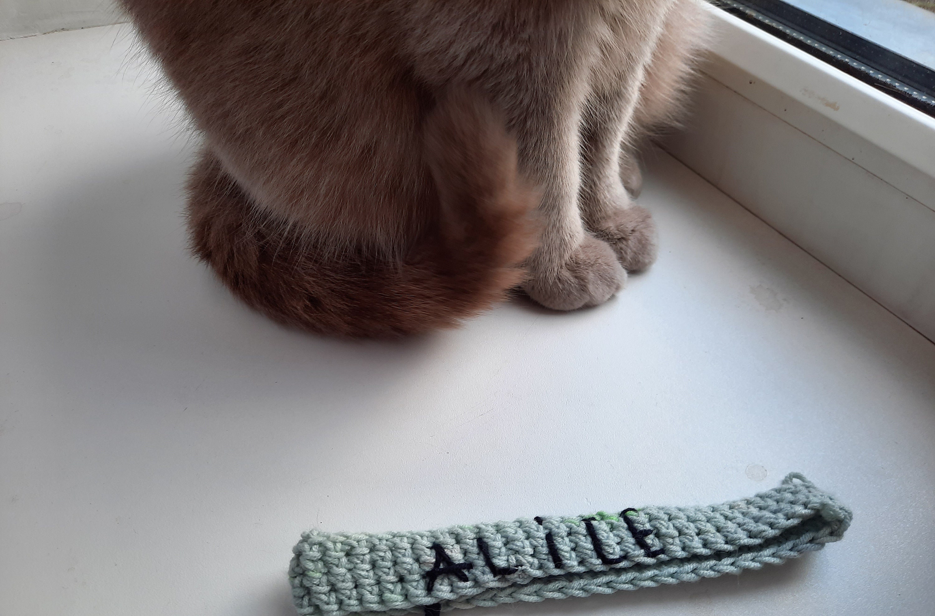 Knitted collar for cats Personalized handmade Cat collar as Etsy