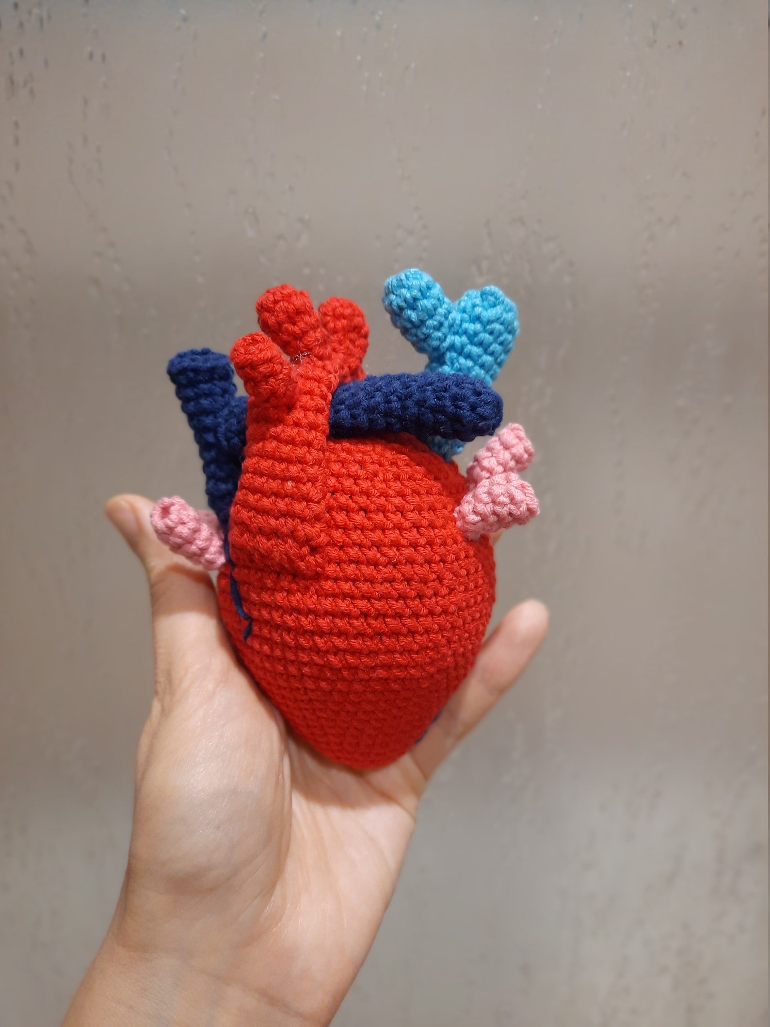 Anatomical heart crochet pattern Human heart crochet as Etsy