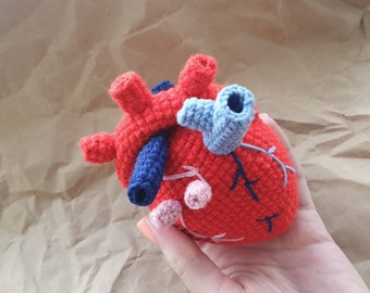 Human heart crochet PATTERN amigurumi, Real heart as gift for a cardiologist pattern crochet, Anatomical heart crochet organ Ukraine saler